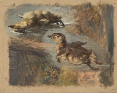 Study of Ducks on the Water I by Friedrich Carl von Scheidlin